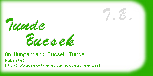 tunde bucsek business card